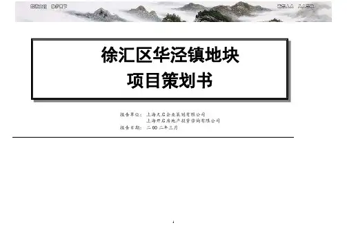 徐汇区华泾镇地块项目策划书26p