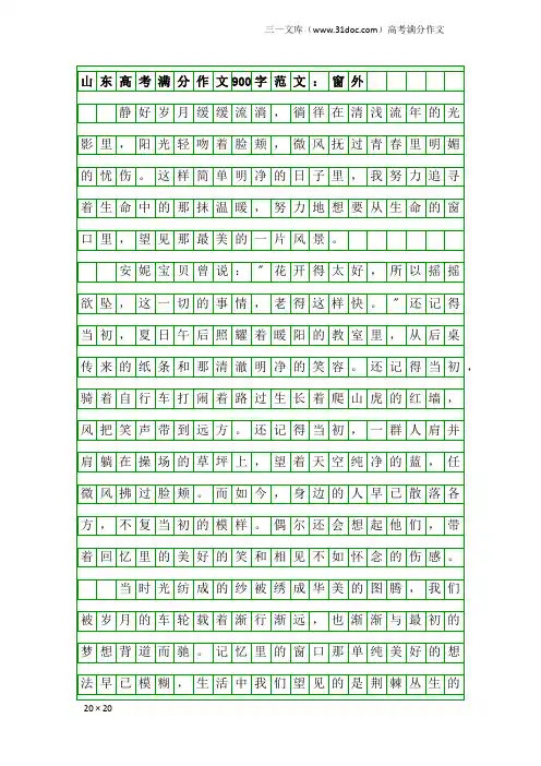 高考满分作文：山东高考满分作文900字范文：窗外