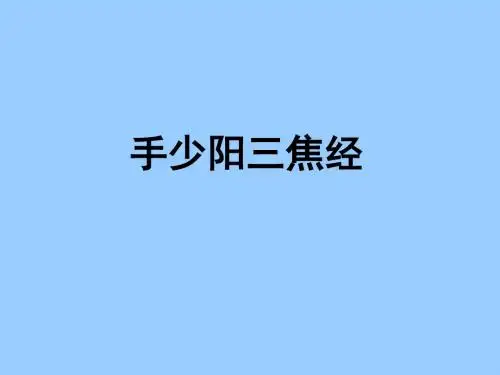 手少阳三焦经课件