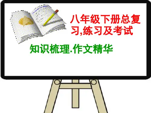 外研版八年级英语下册总复习精华课件(共395张PPT)