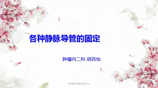 各种静脉导管的固定方法ppt课件