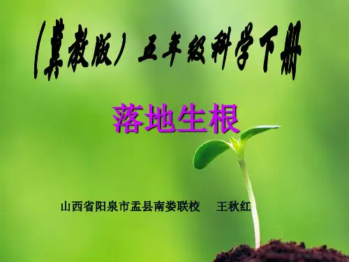 五年级下册科学课件-2.7 落地生根 ｜冀教版  (共18张PPT)