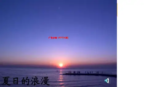 广告介绍(PPT38页)