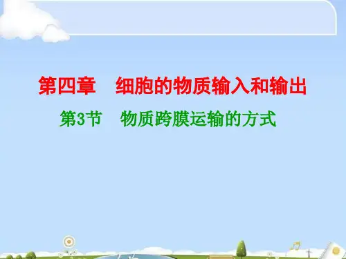 人教版高中生物必修一第4章第3节物质跨膜运输的方式  课件(共22张PPT)