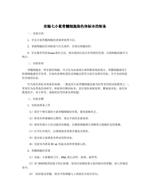 实验七小鼠骨髓细胞染色体标本的制备