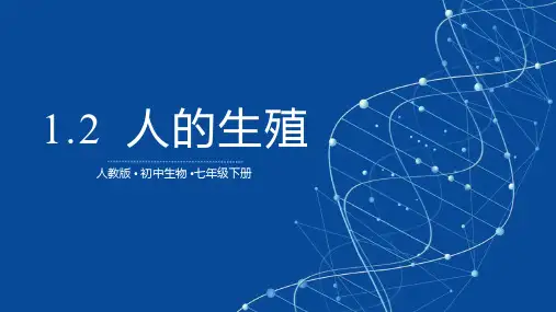 《人的生殖》PPT课件