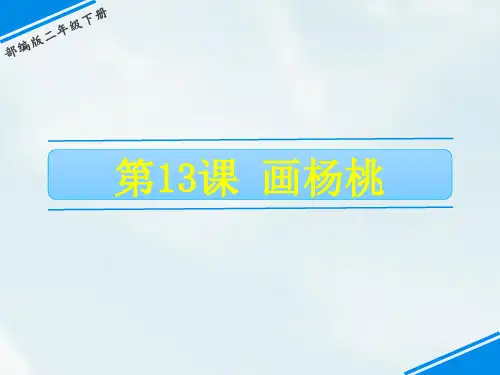 统编版二年级下册语文课件13画杨桃(共25张PPT)