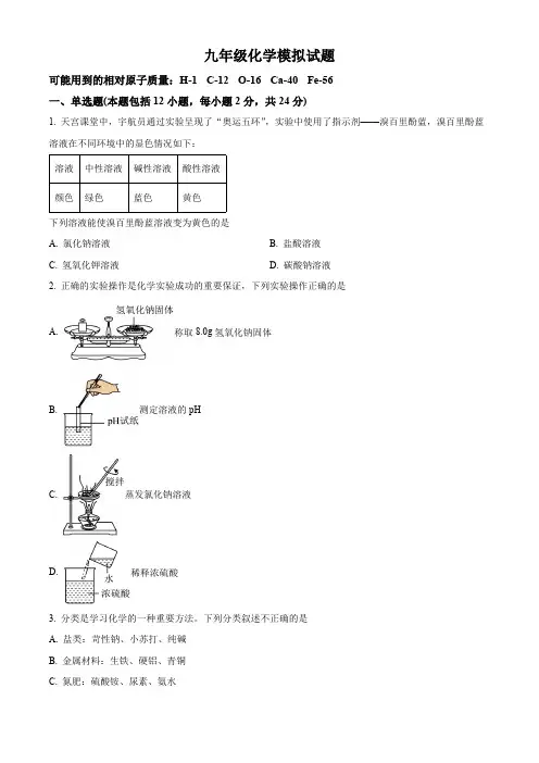 2024年江苏省连云港市海州区中考模拟化学试题(无答案)