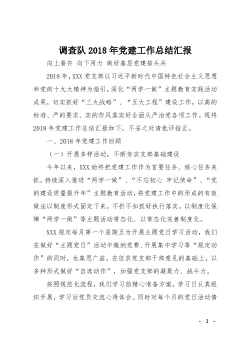 调查队2018年党建工作总结汇报