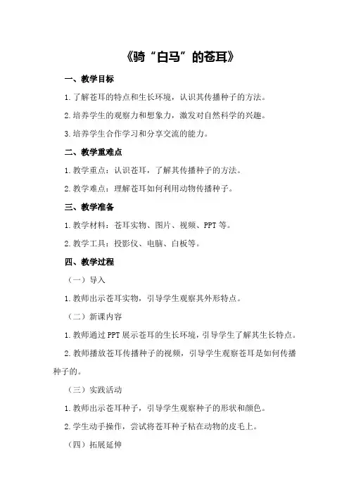 大班科学教案及教学反思《骑“白马”的苍耳》