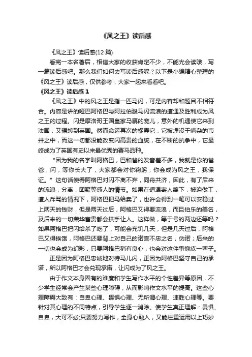 《风之王》读后感