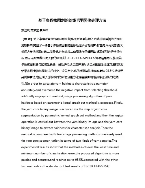 基于参数核图割的纱线毛羽图像处理方法