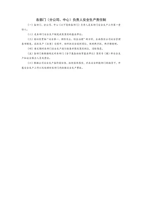 各部门(分公司、中心)负责人安全生产责任制