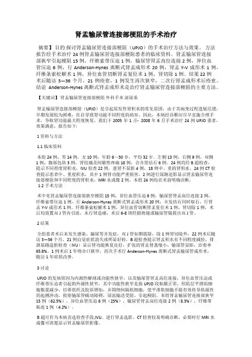 肾盂输尿管连接部梗阻的手术治疗