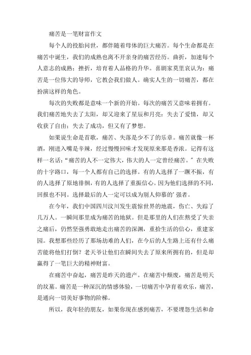 中小学痛苦是一笔财富作文