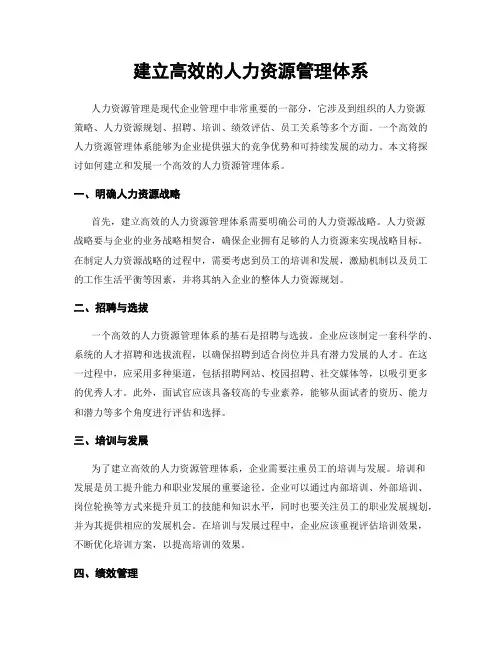 建立高效的人力资源管理体系