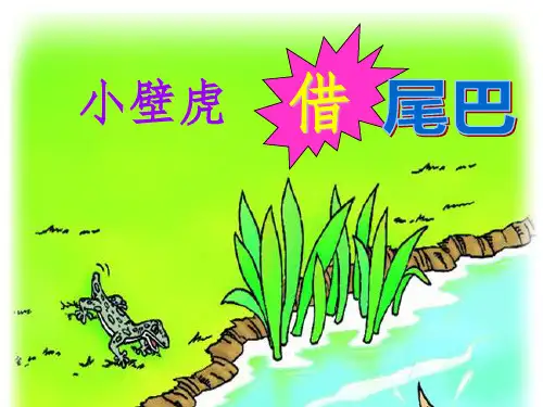 小壁虎借尾巴(优秀)PPT课件