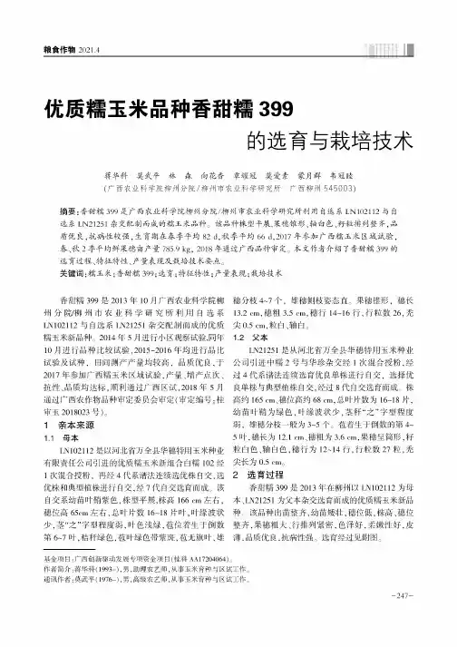 优质糯玉米品种香甜糯399的选育与栽培技术
