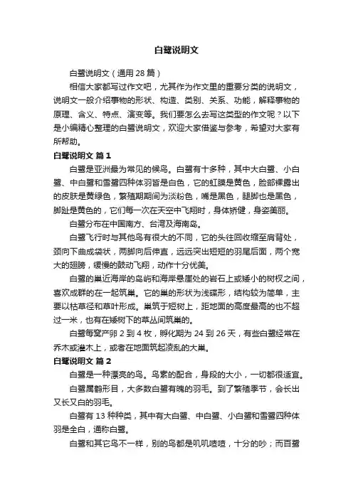 白鹭说明文（通用28篇）