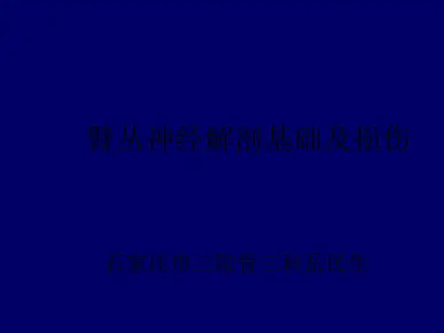 臂丛神经解剖基础及损伤ppt