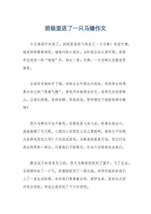 班级里进了一只马蜂作文