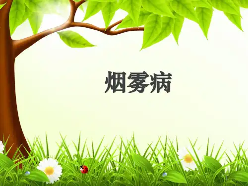 烟雾病护理查房课件