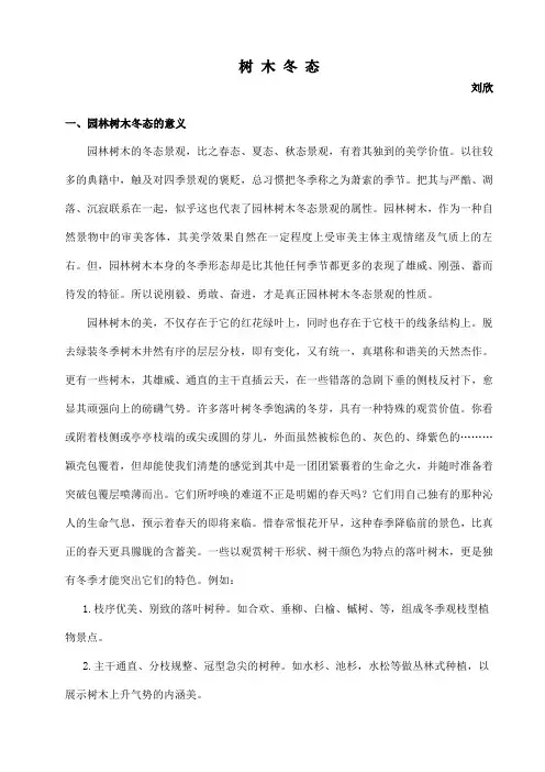 植物冬态识别汇总