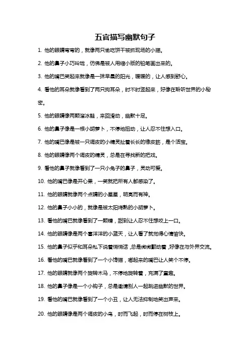 五官描写幽默句子