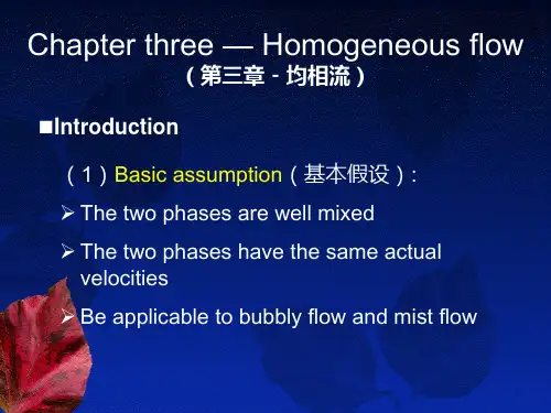 多相流基础 chapter 3-homogeneous flow