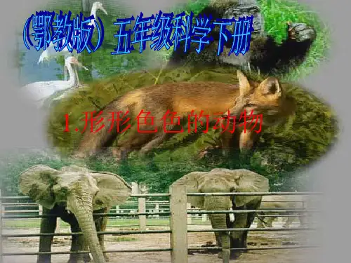 (鄂教版)版小学科学五下《形形色色的动物》PPT课件(同课异构)(2)