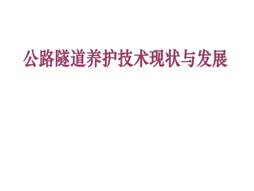 [公路隧道常见病害图文展示及病害养护检测管理231页PPT_230页