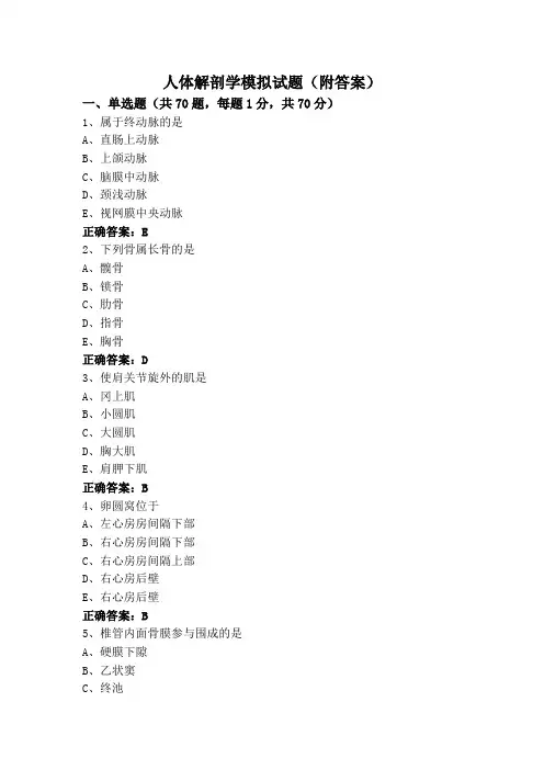 人体解剖学模拟试题(附答案)