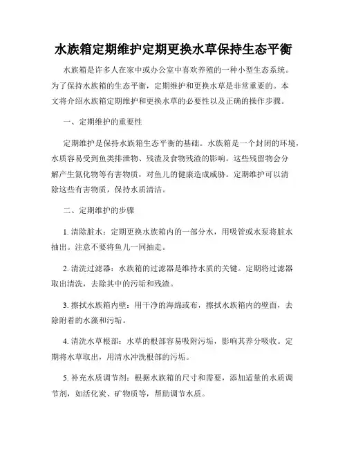 水族箱定期维护定期更换水草保持生态平衡