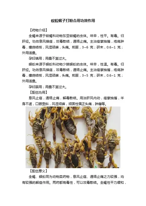 蜈蚣蝎子打粉合用功效作用