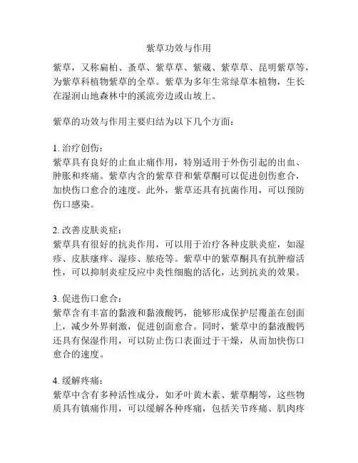 紫草功效与作用