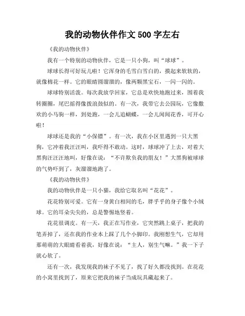 我的动物伙伴作文500字左右