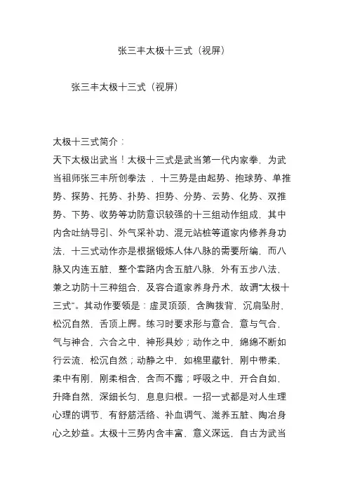 张三丰太极十三式(视屏)