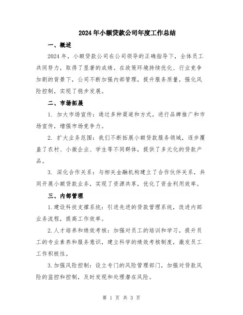 2024年小额贷款公司年度工作总结