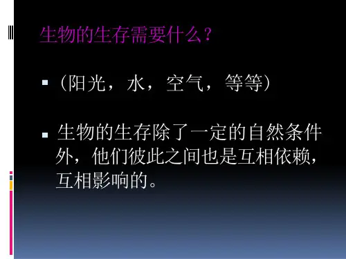苏科版小学科学《食物链和食物网》ppt课件完美版