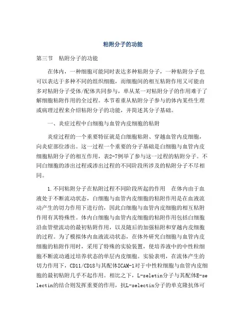 粘附分子的功能
