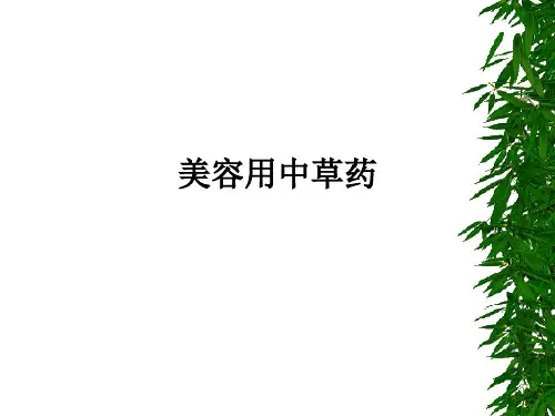 美容用中草药ppt课件