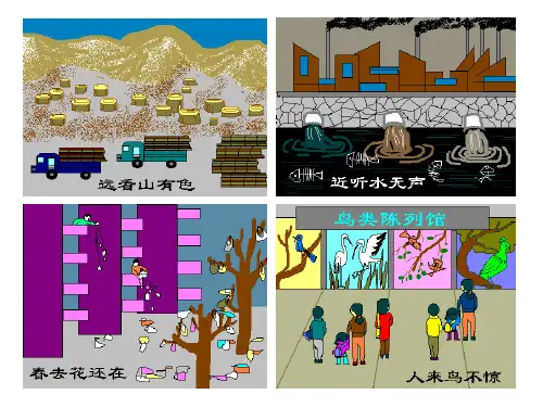 《当代面临的环境问题》PPT课件