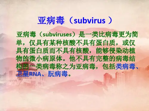 课件：亚病毒