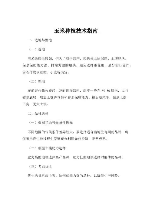 玉米种植技术指南