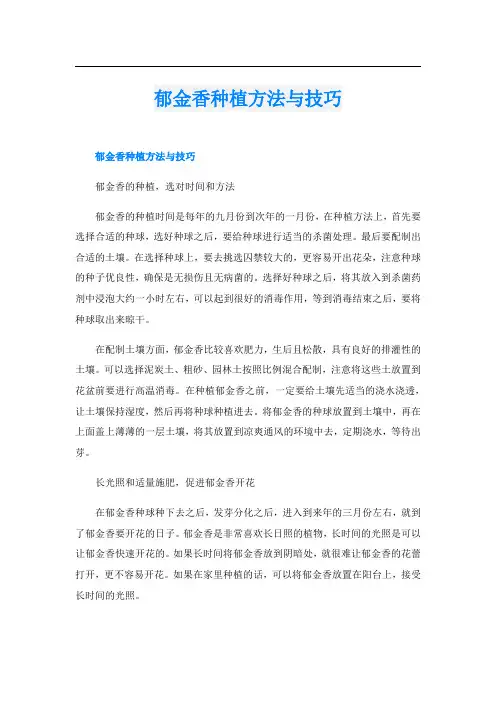郁金香种植方法与技巧
