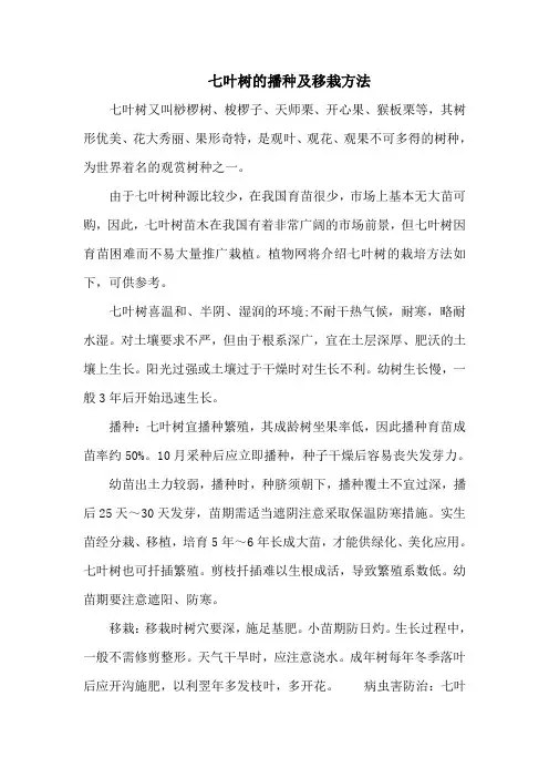 七叶树的播种及移栽方法