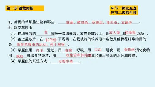 七年级上册生物人教版第三单元生物圈中的绿色植物第一章生物圈中有哪些绿色植物3.1藻类、苔藓和蕨类植物