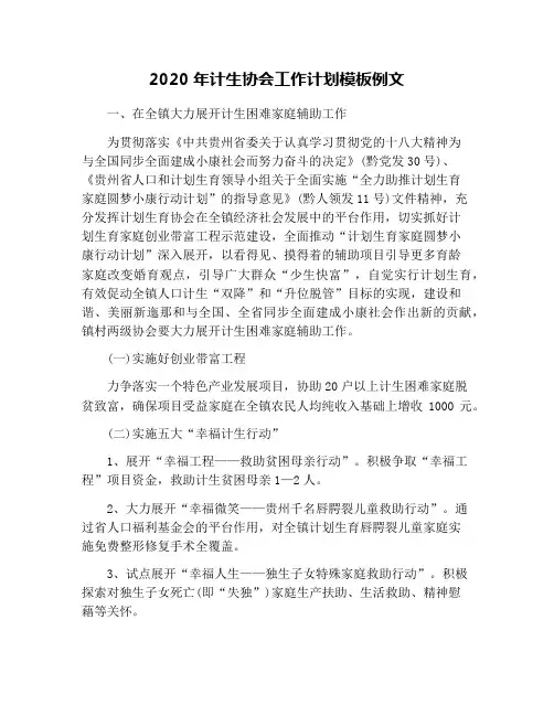 2020年计生协会工作计划模板例文