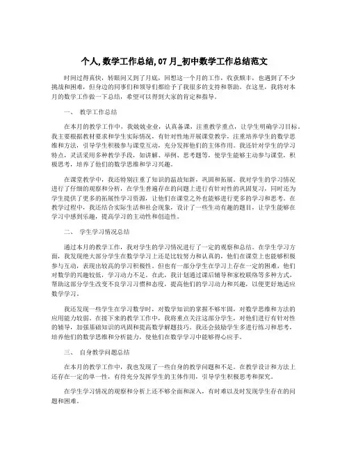 个人,数学工作总结,07月_初中数学工作总结范文