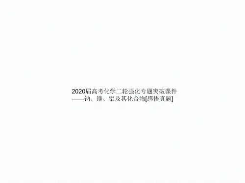 高考化学二轮强化专题突破ppt课件——专题五 钠、镁、铝及其化合物PPT课件